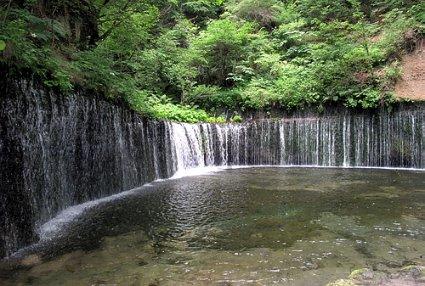 《成年男女「下头行为」排行榜》